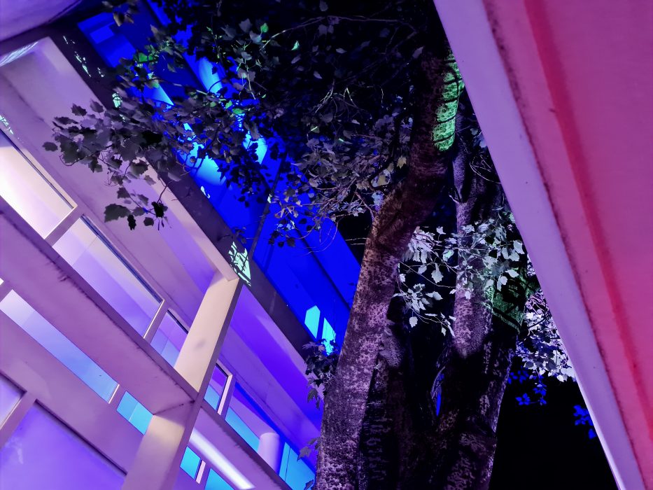 Proyecciones nocturnas – Mauro García Santa Cruz @estudio.hovy