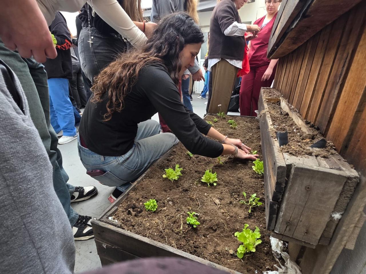 La Sede Bahía Blanca realizó el resembrado de su huerta