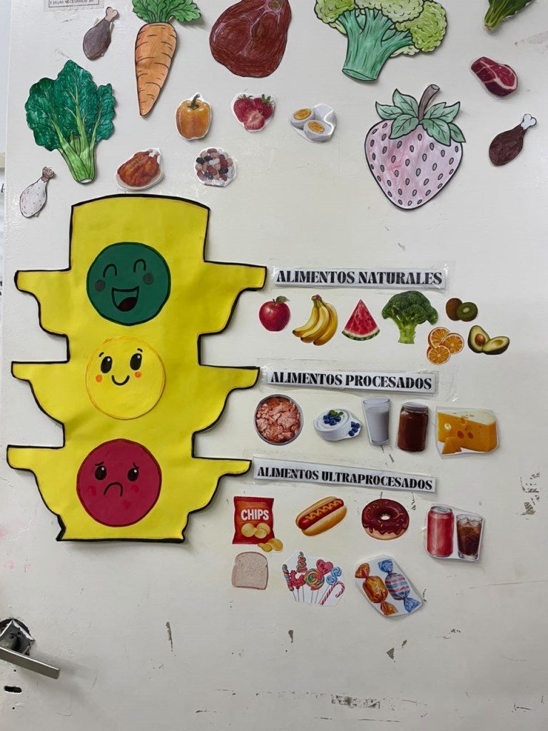 El Colegio Primario Estrada realizó una nueva edición de la Feria de Ciencias “La buena vida”